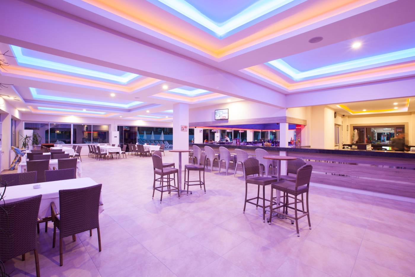 Hotel-Catty-Cats-Garden-Room-39