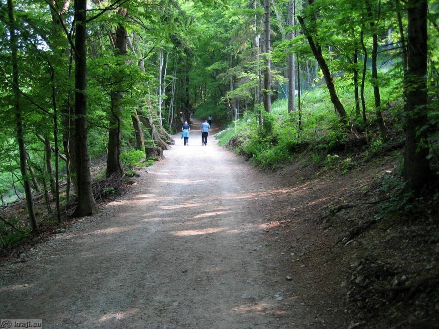 B&B Dvor Tacen-Slovenia-Ljubljana-General view-3