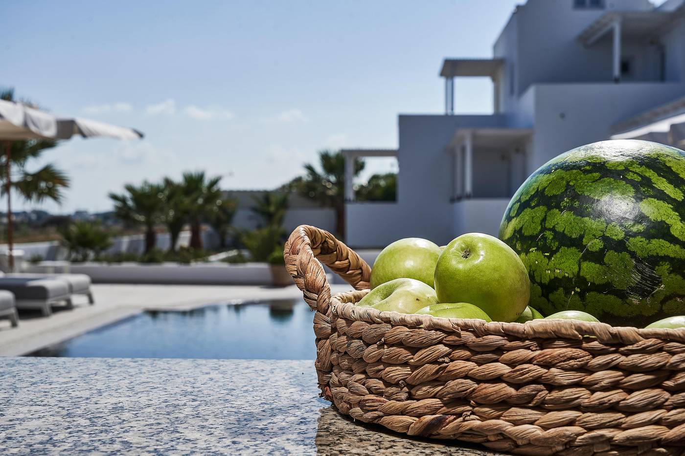 Petri-Suites-Pool-19