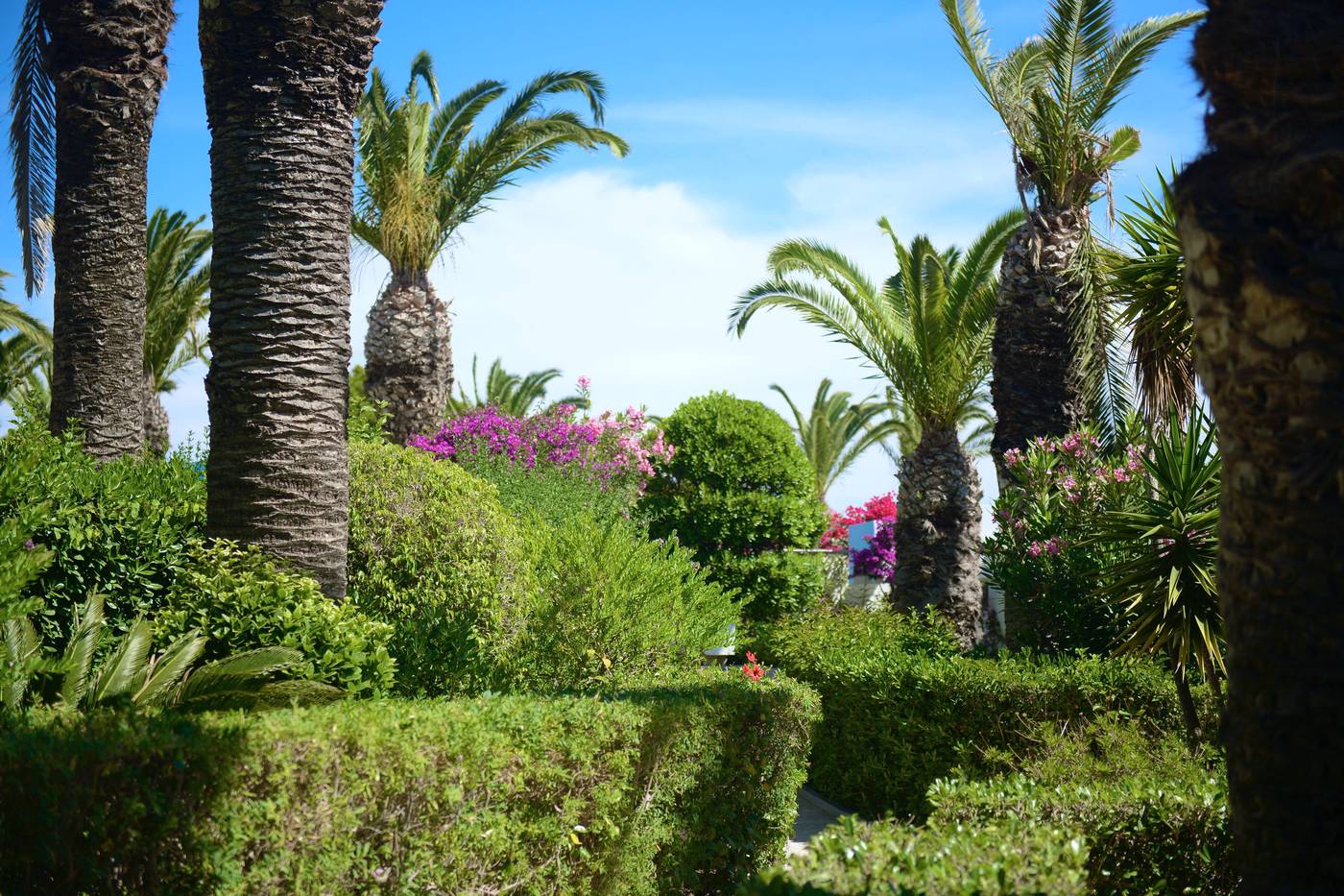 Blue-Horizon-Terrace-24