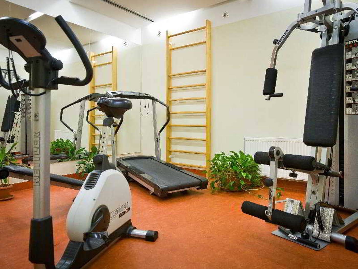 Mamaison-Residence-Belgicka-Prague-Sports-and-Entertainment-24