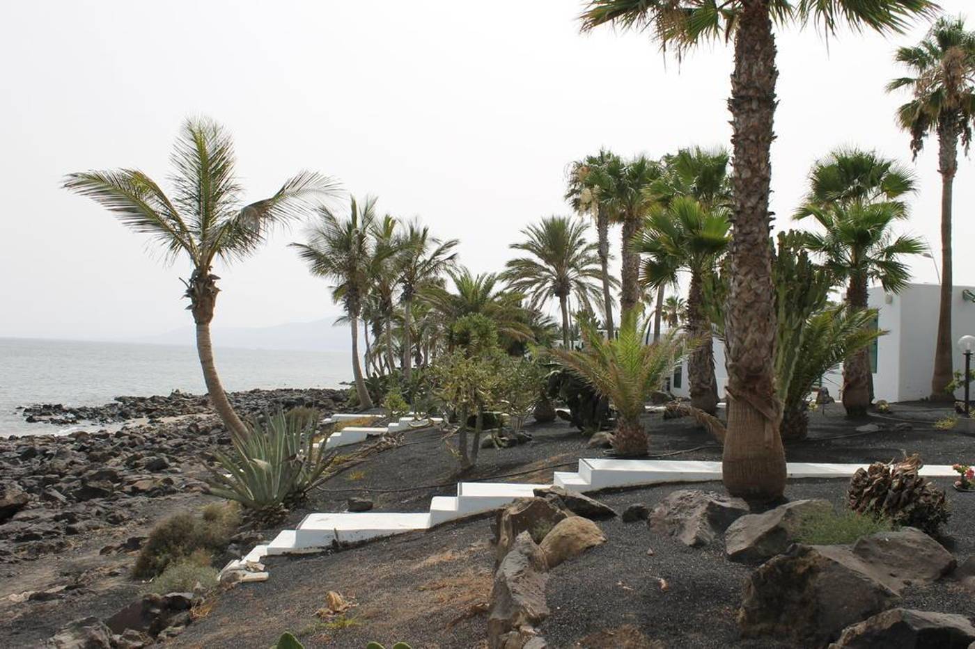 Velazquez-General-view-21