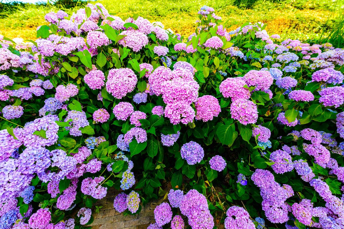 Grand-Hotel-Amstelveen-Terrace-49