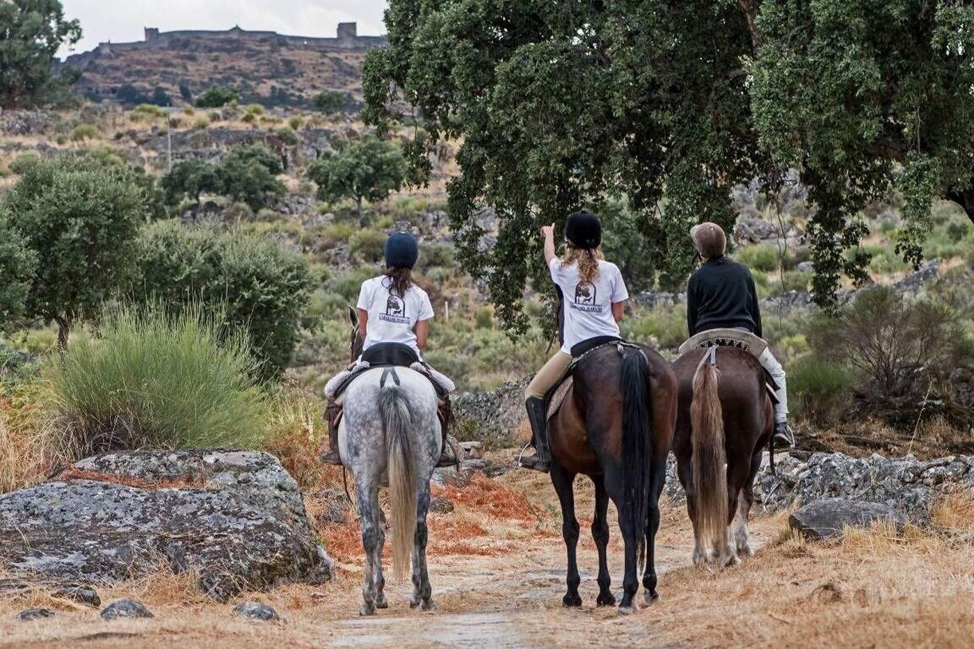 Sever-Rio-Hotel-Sports-and-Entertainment-29