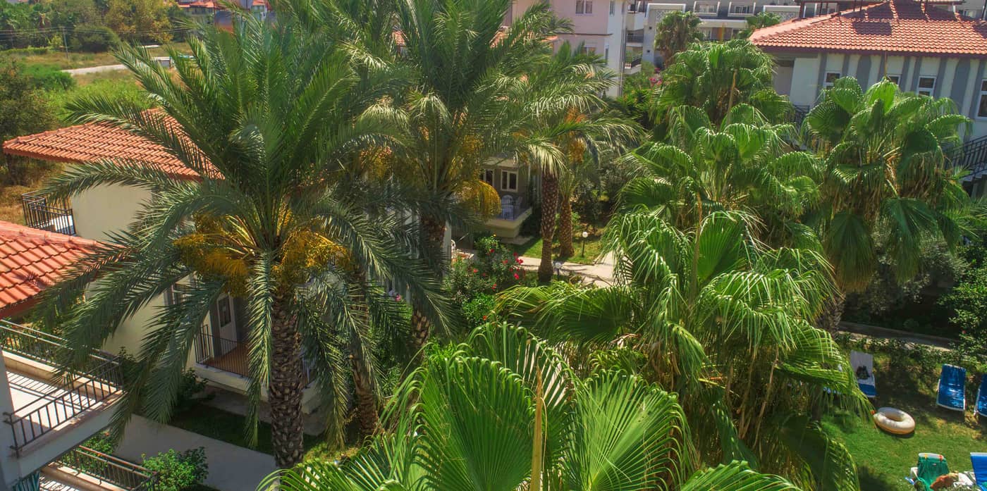 Sunlight-Garden-General-view-27