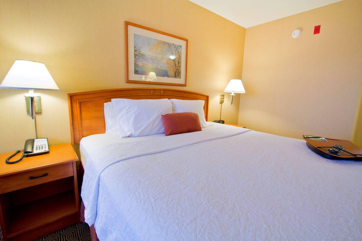 Hampton-Inn-by-Hilton-Vancouver-Airport-Room-13