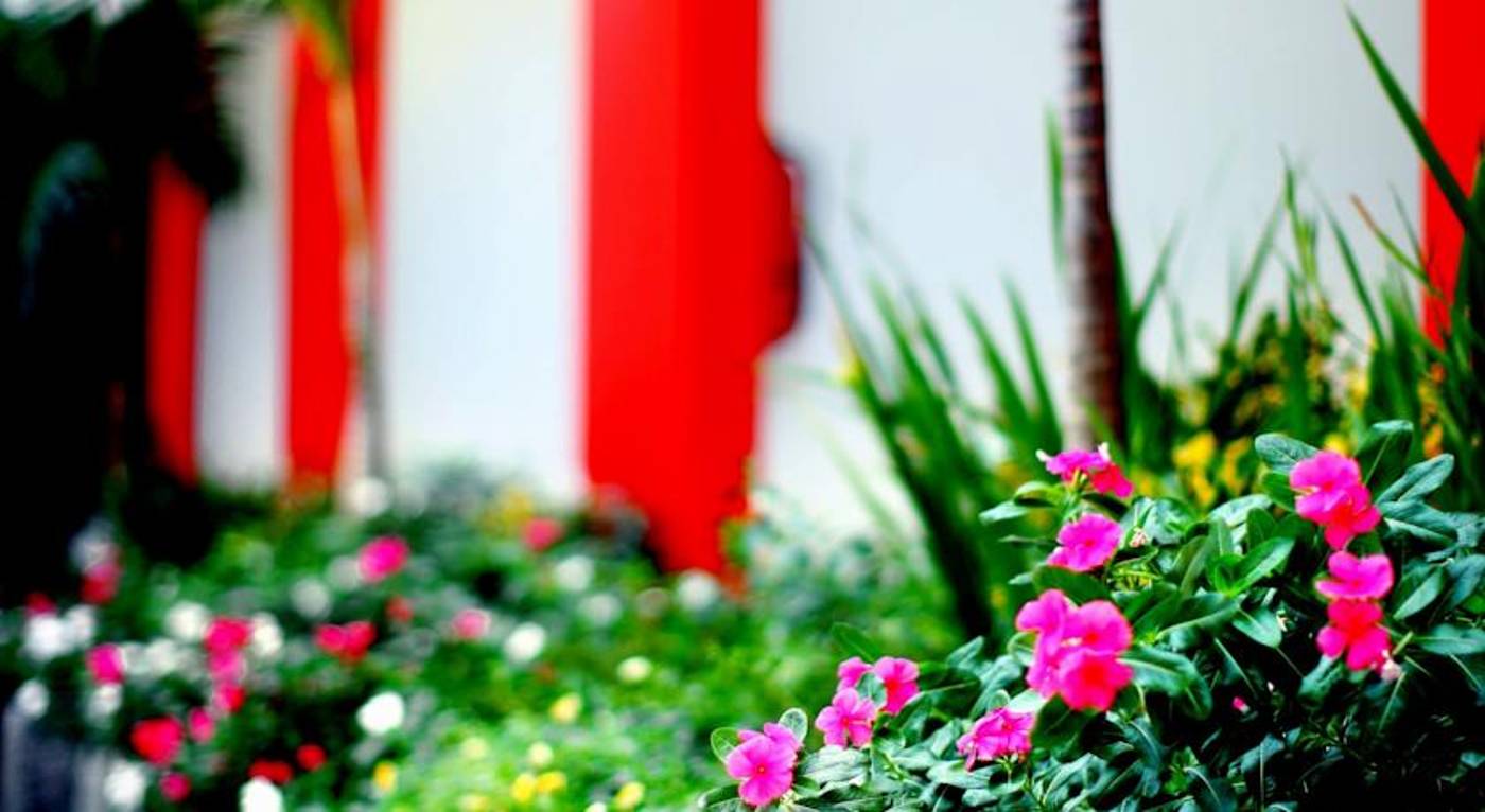 Ozz Hotel Kuta-Indonesia-BALI-General view-3