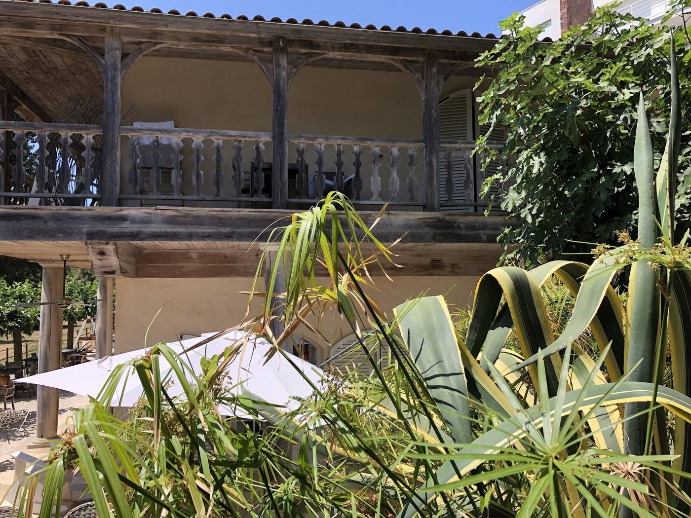 Le-Clos-Des-Sept-Palmiers-General-view-1