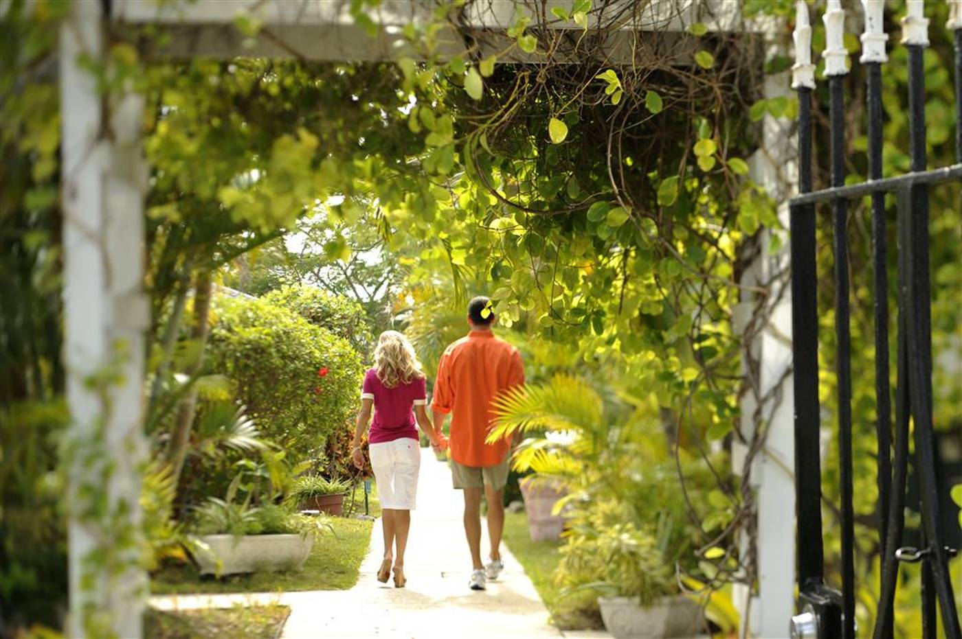 Bay-View-Suites-Paradise-Island-General-view-10