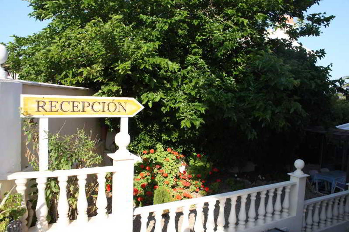 Cala-Bona---Mar-Blava-Pool-6