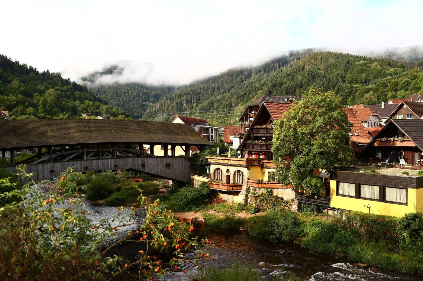 Das Waldhaus-Germany-FORBACH-General view-7
