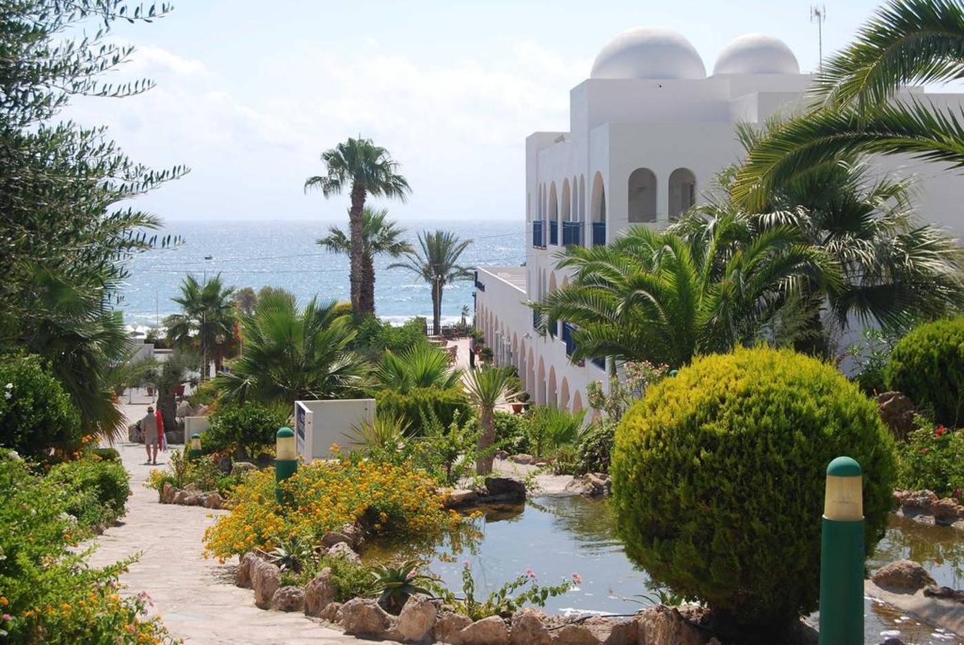 El-Puntazo-General-view-7