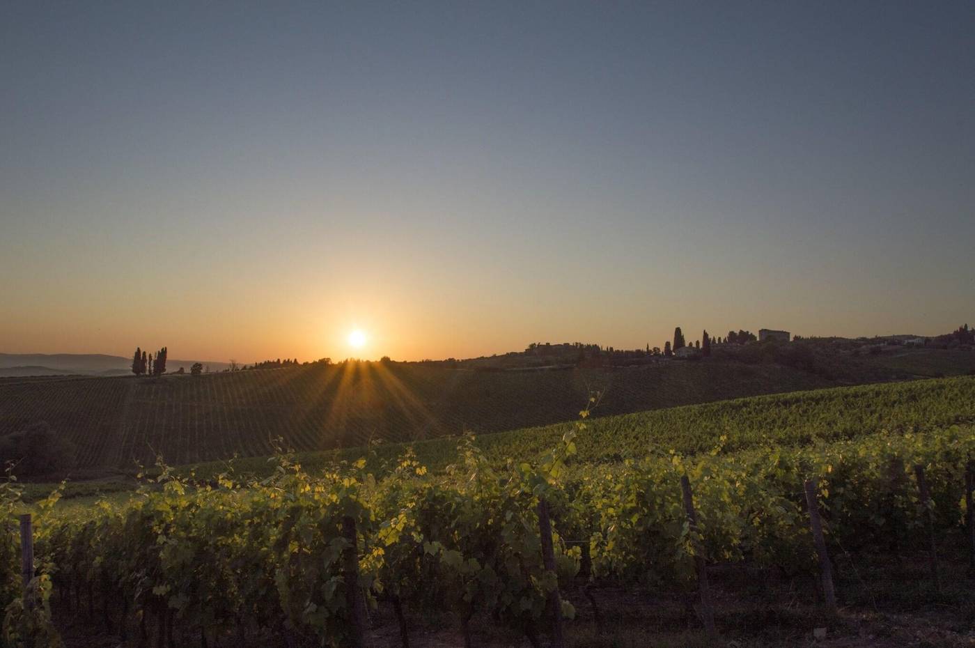 Belvedere Di San Leonino-Italy-Siena-General view-8