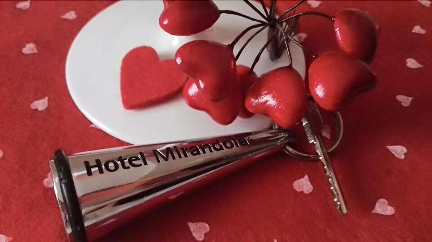 Hotel Mirandola - Italy - MIRANDOLA - Conferences - 5