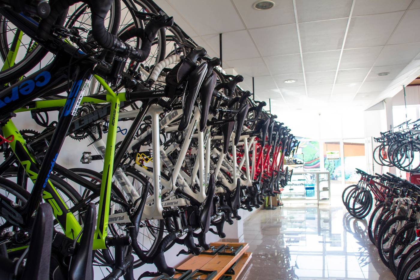 Oasis-Papagayo-Sport---Family-Sports-and-Entertainment-72