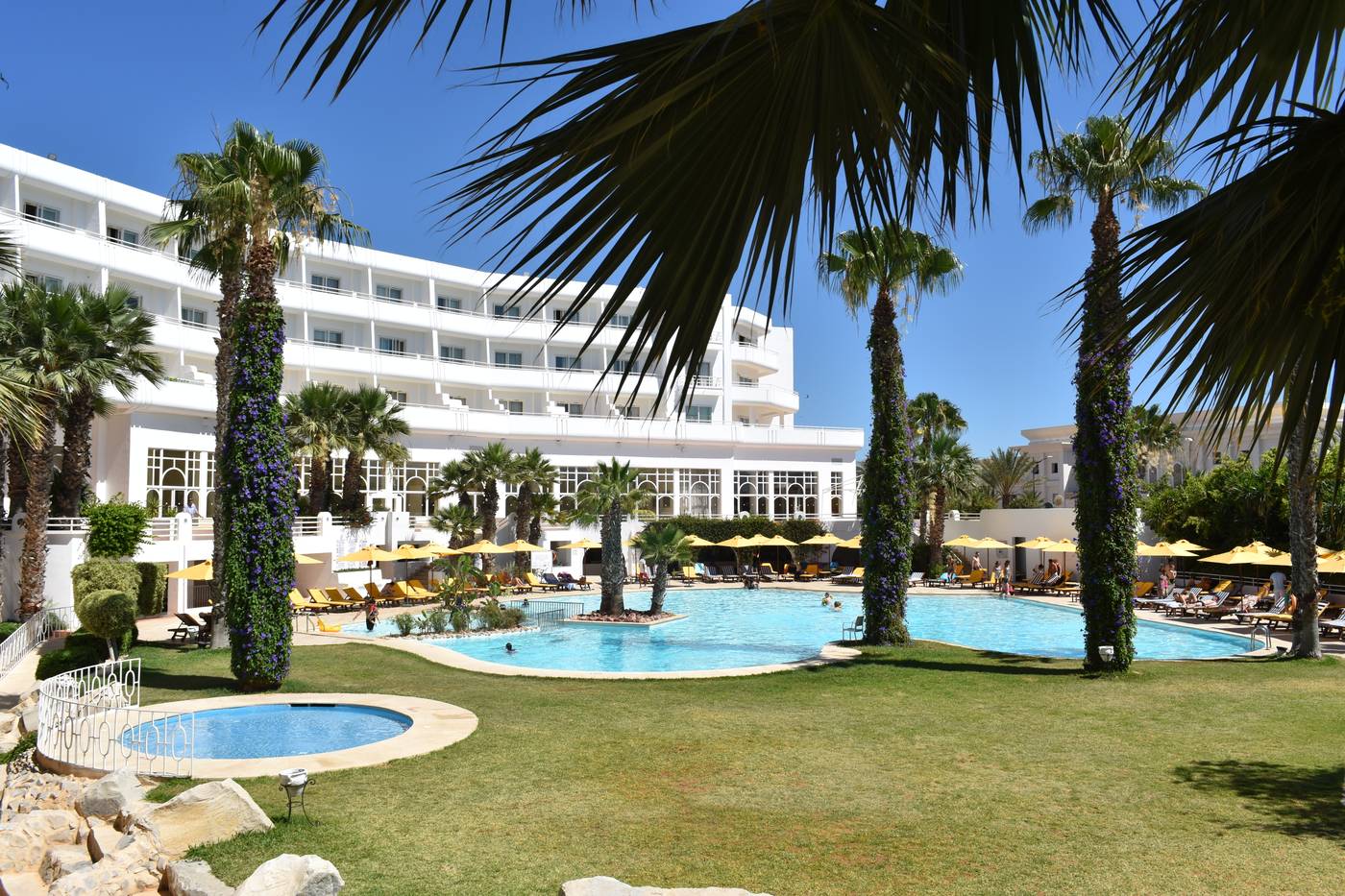 Laico Hammamet 2310