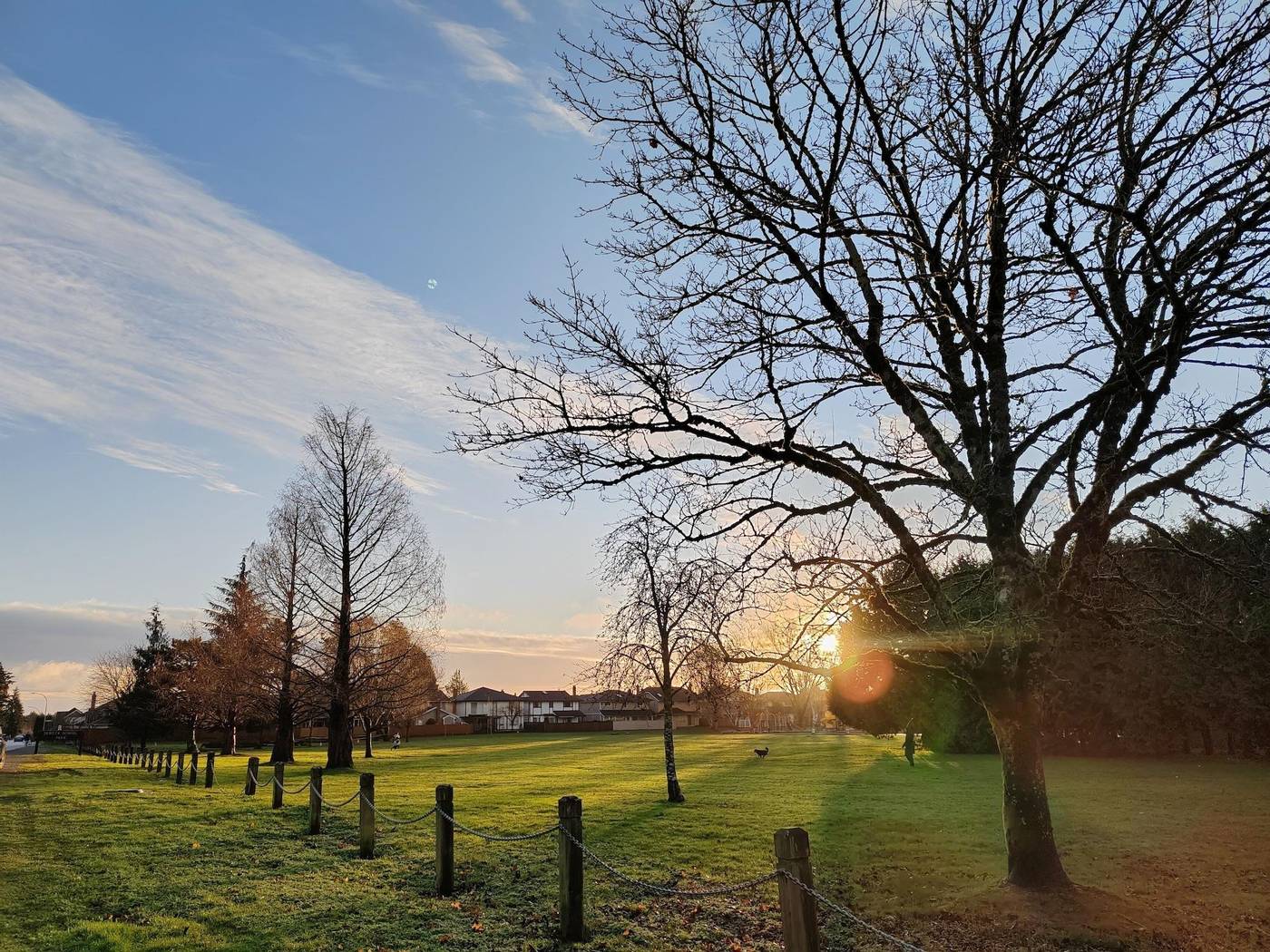 Better-Bed-General-view-34