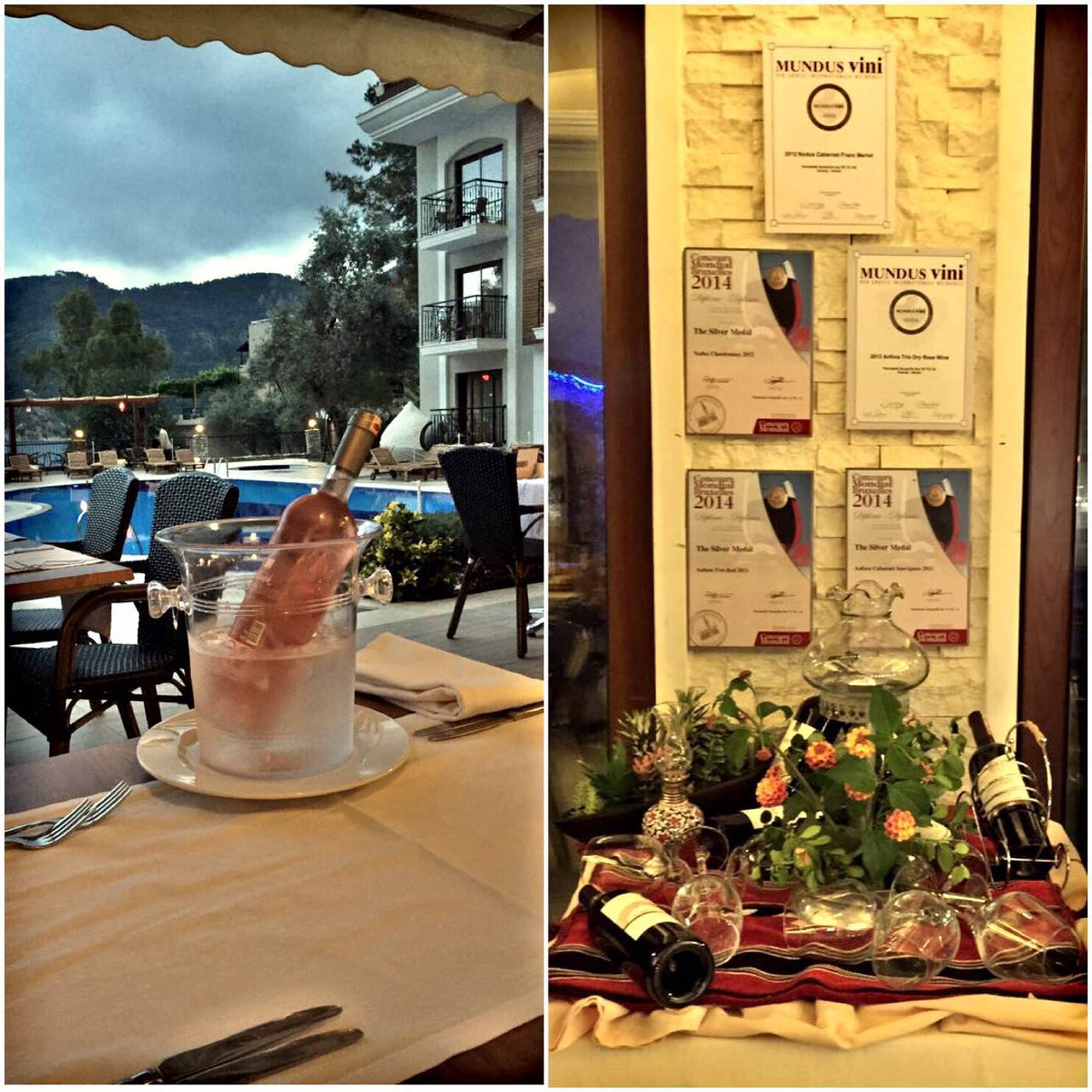 Meril-Hotel-Restaurant-20