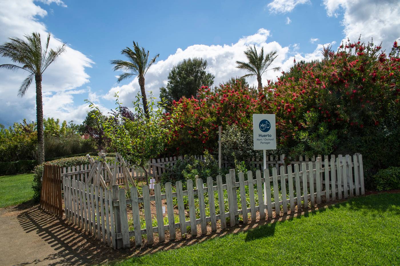 Pierre---Vacances-Bonavista-de-Bonmont-Sports-and-Entertainment-25