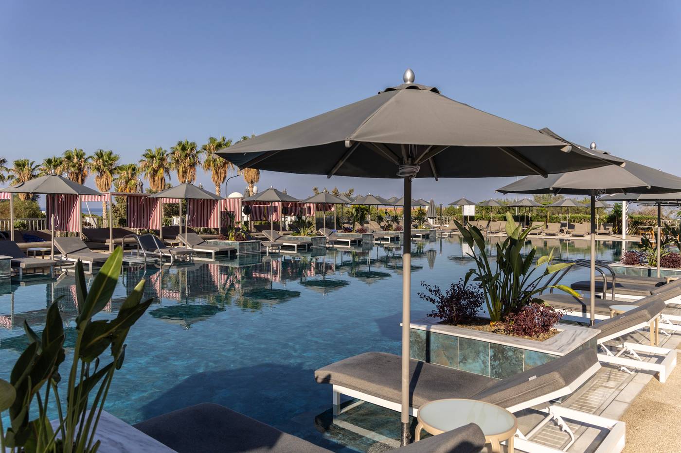 Cali Resort & Spa by Louis Hotels
