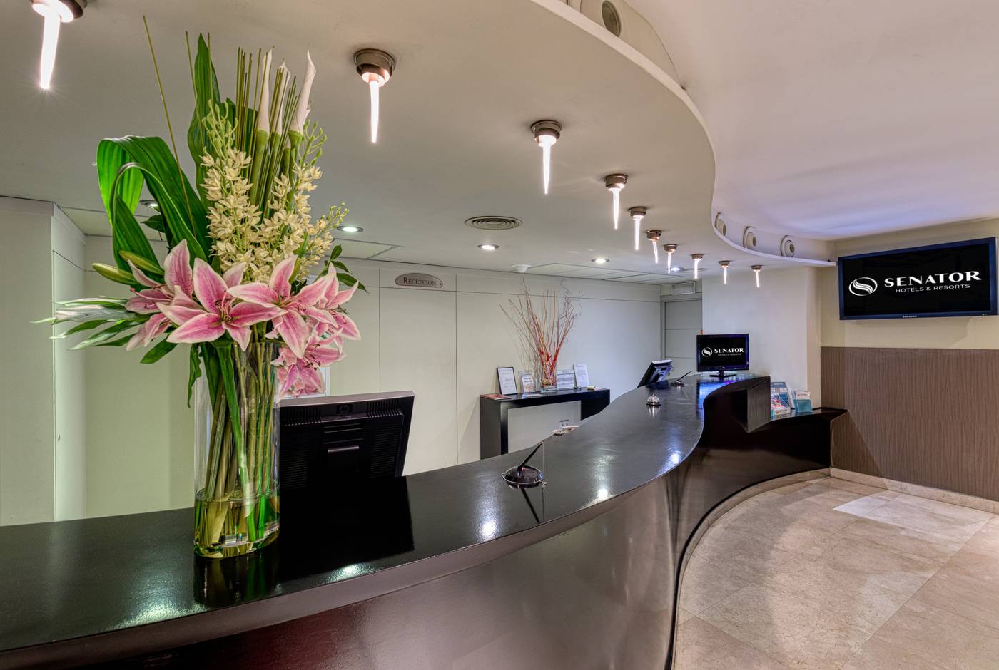 Senator-Banus---Adults-Recommended-Lobby-49