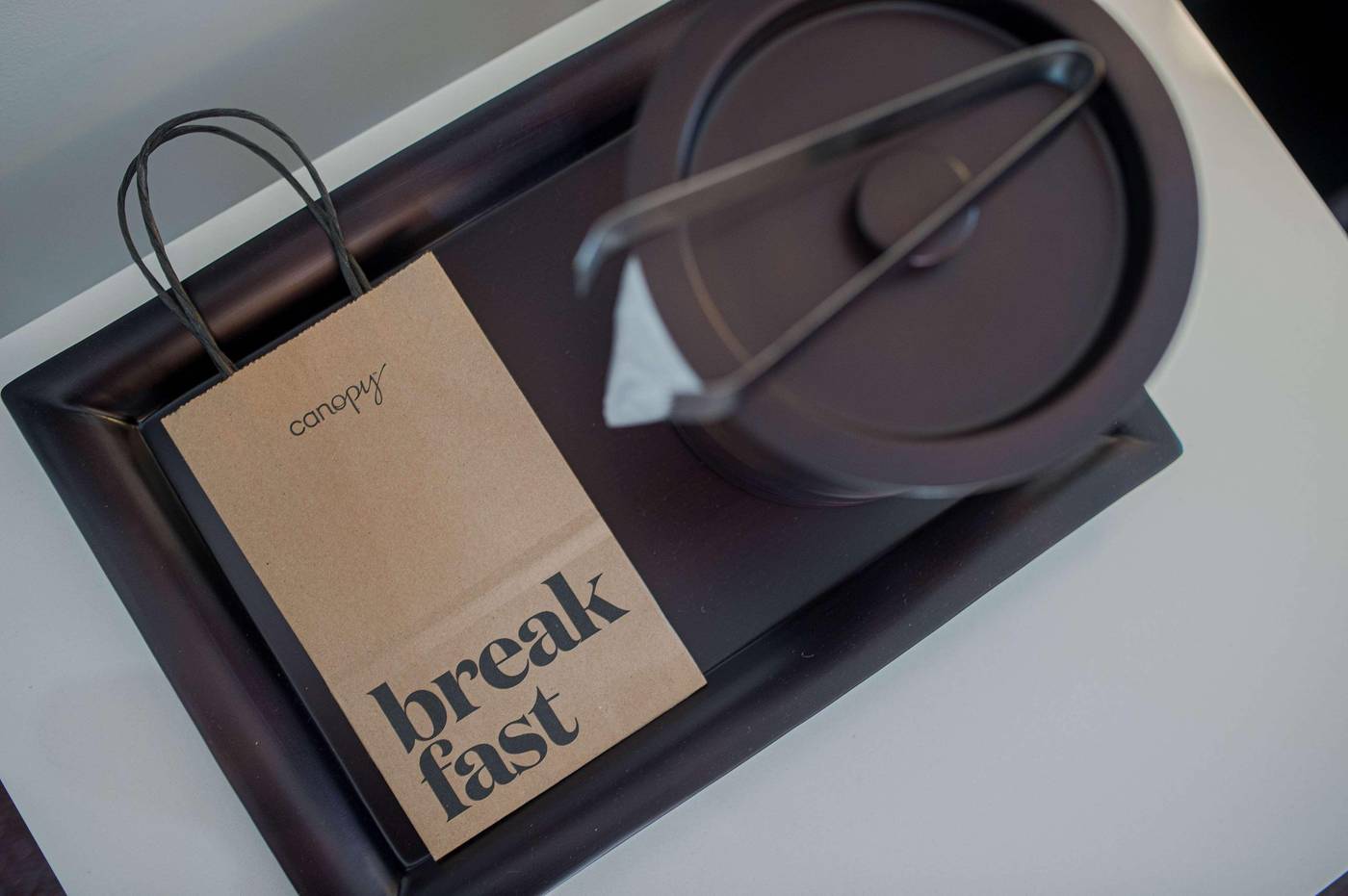 Canopy-by-Hilton-Jersey-City-Arts-District-Room-57