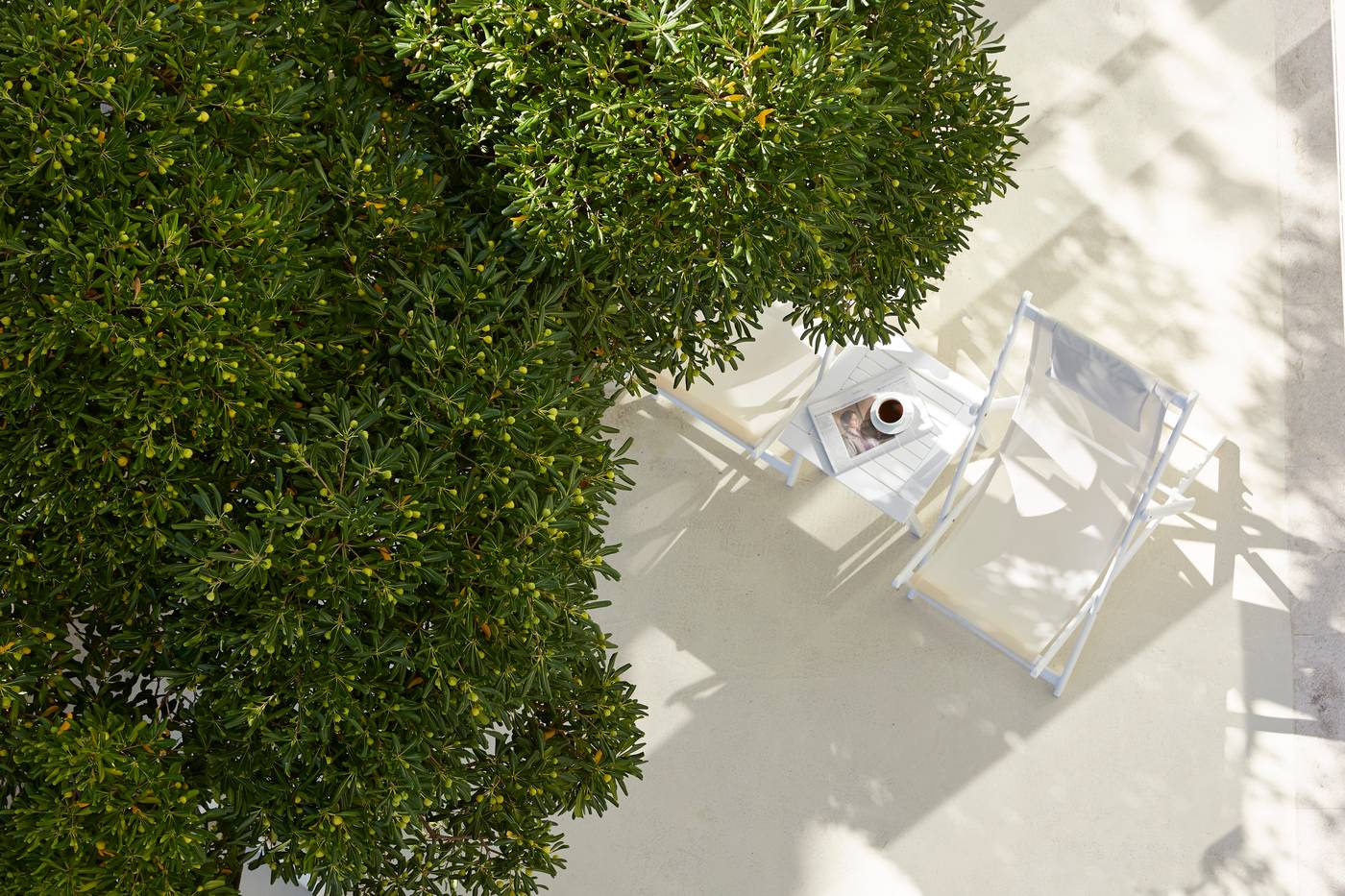 Mayor-Mon-Repos-Palace--Art-Hotel-Pool-11