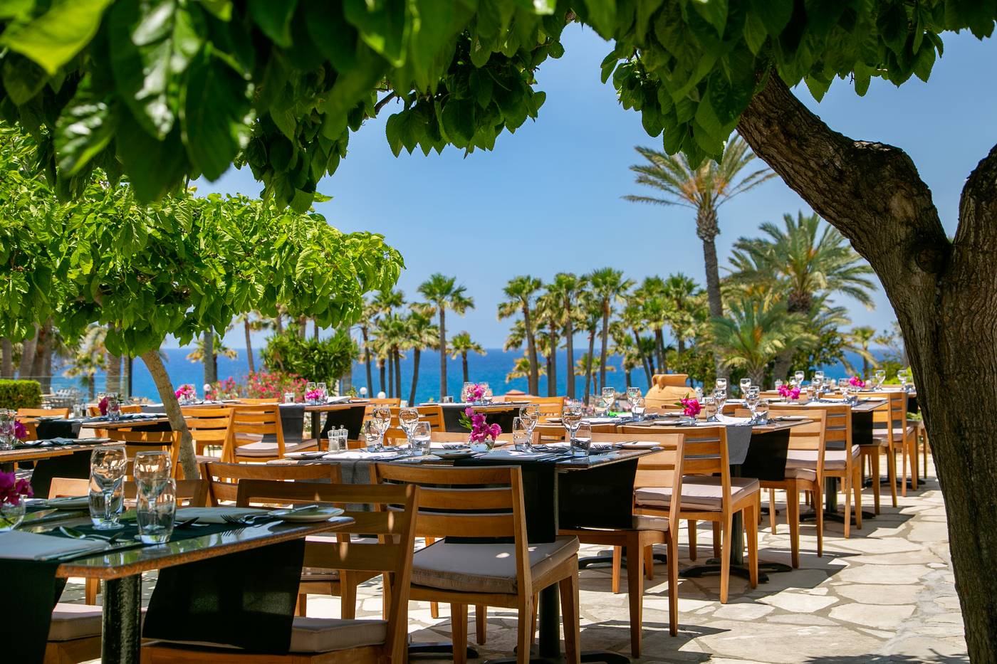 Azia Resort and Spa. Paphos, Cyprus. 294578