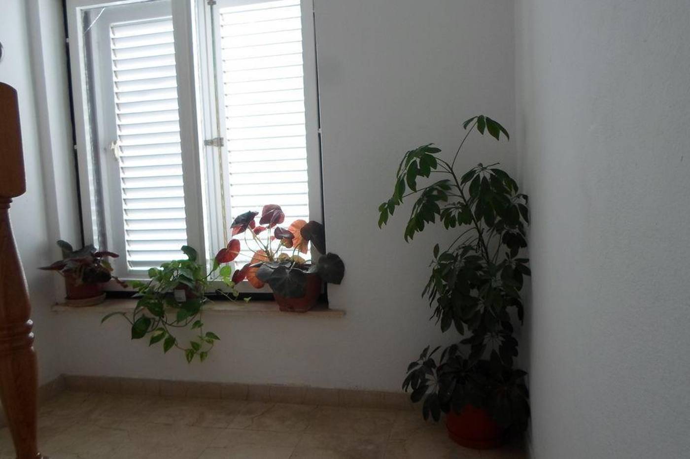 Pansion-Lovac-General-view-15