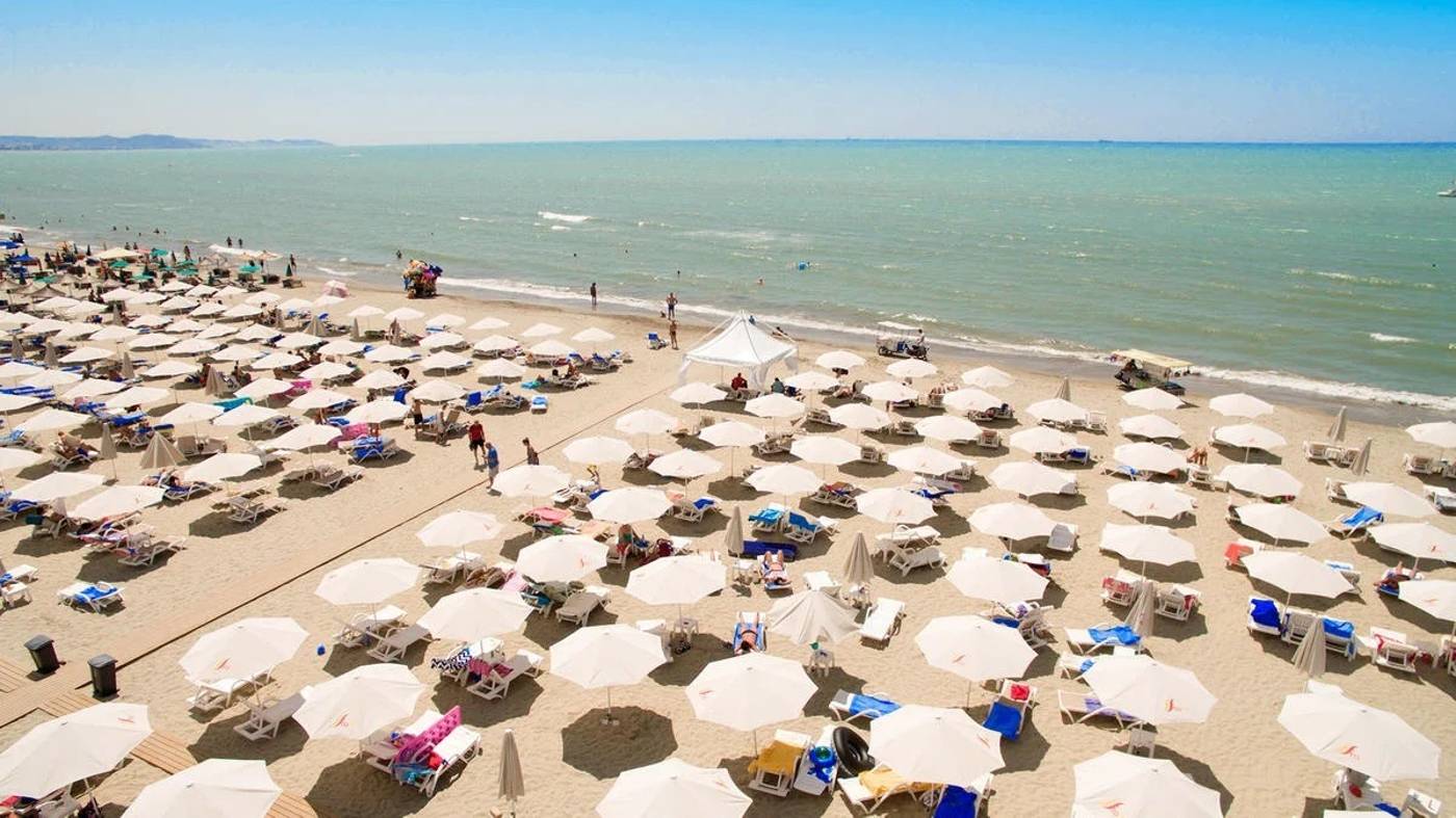 Grand Blue Fafa 15.12.25