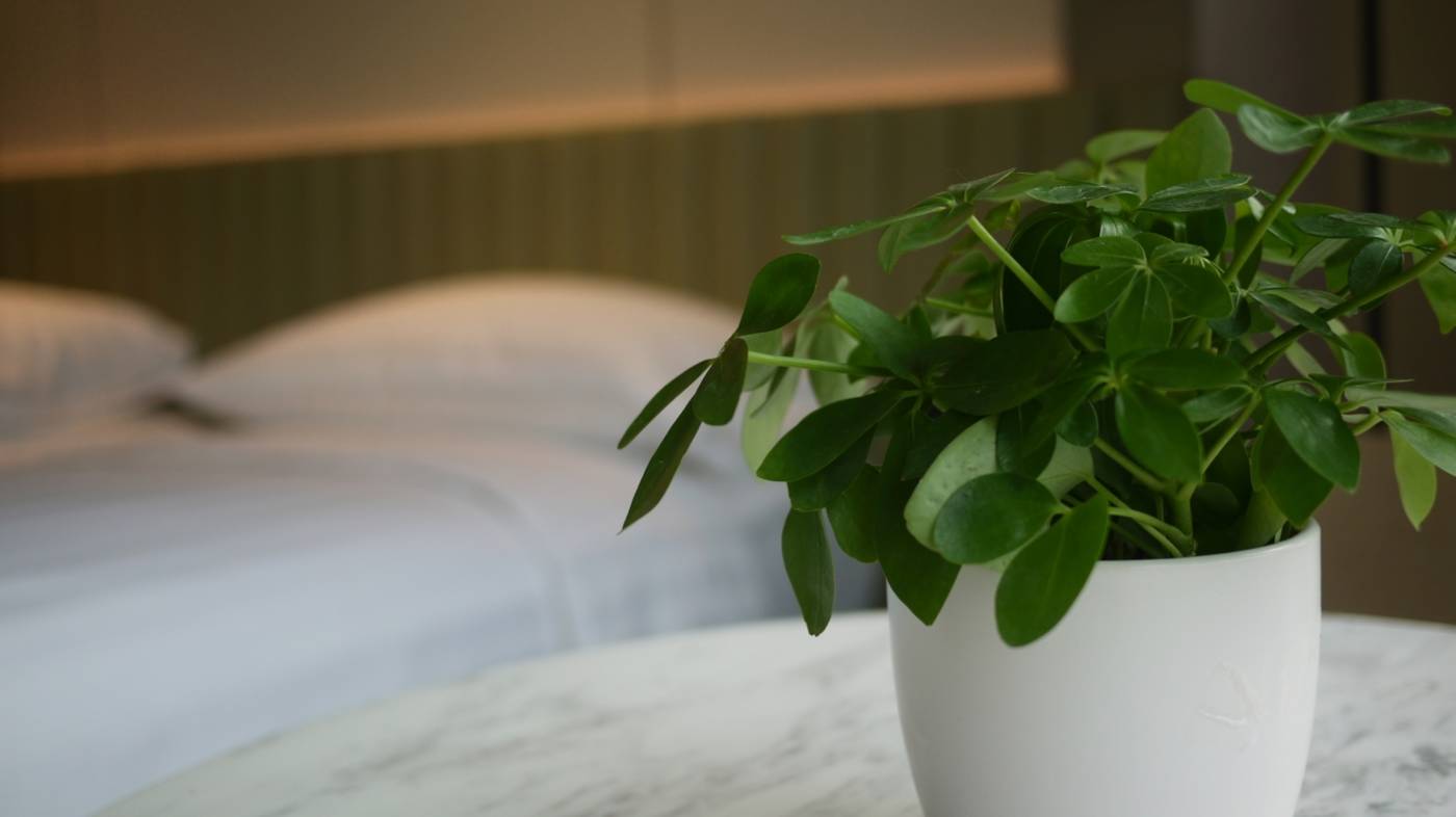 Dorsett-Kai-Tak-Room-34