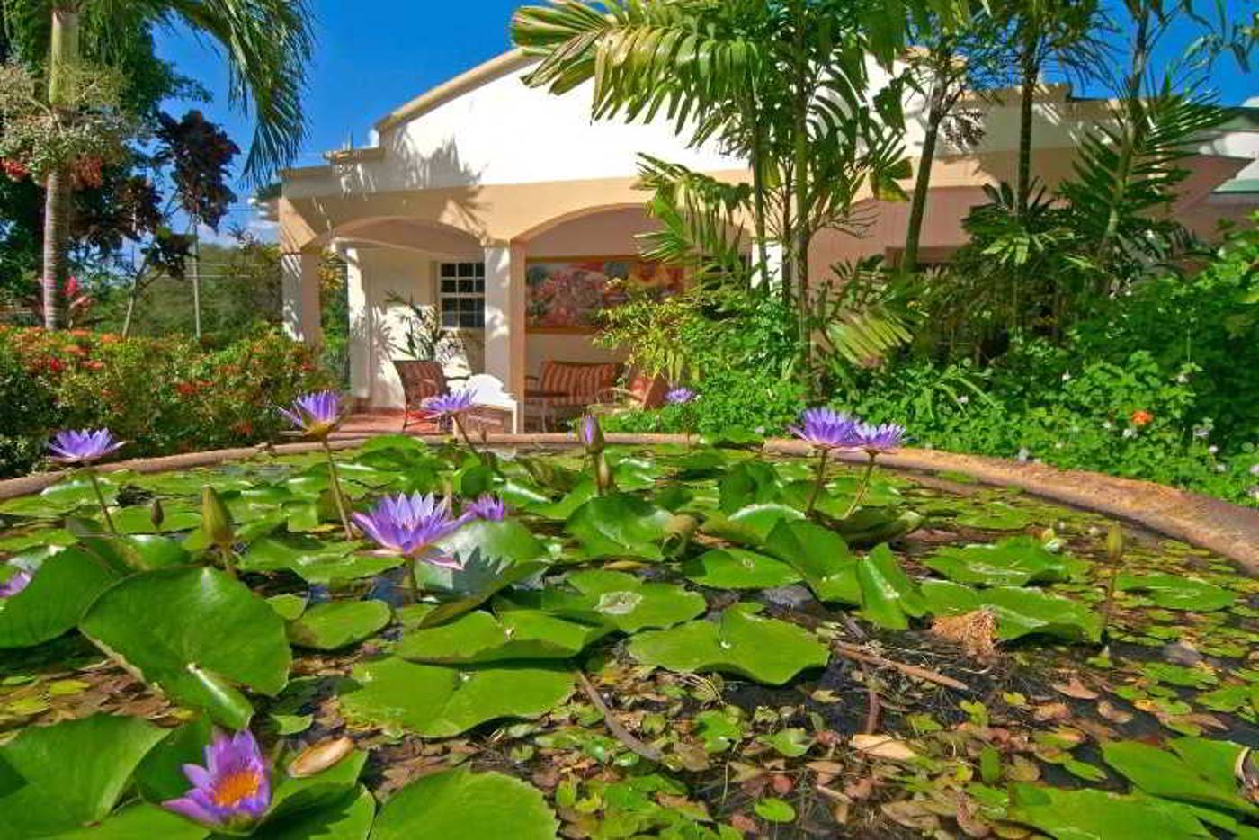 Blue-Horizons-Garden-Resort-General-view-12