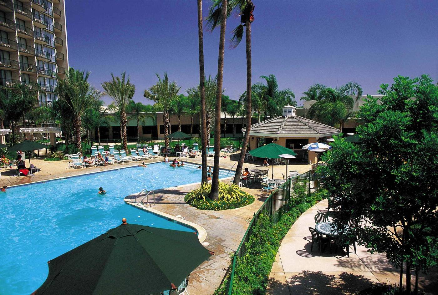 Sheraton-Park-Hotel-at-the-Anaheim-Resort-Pool-80