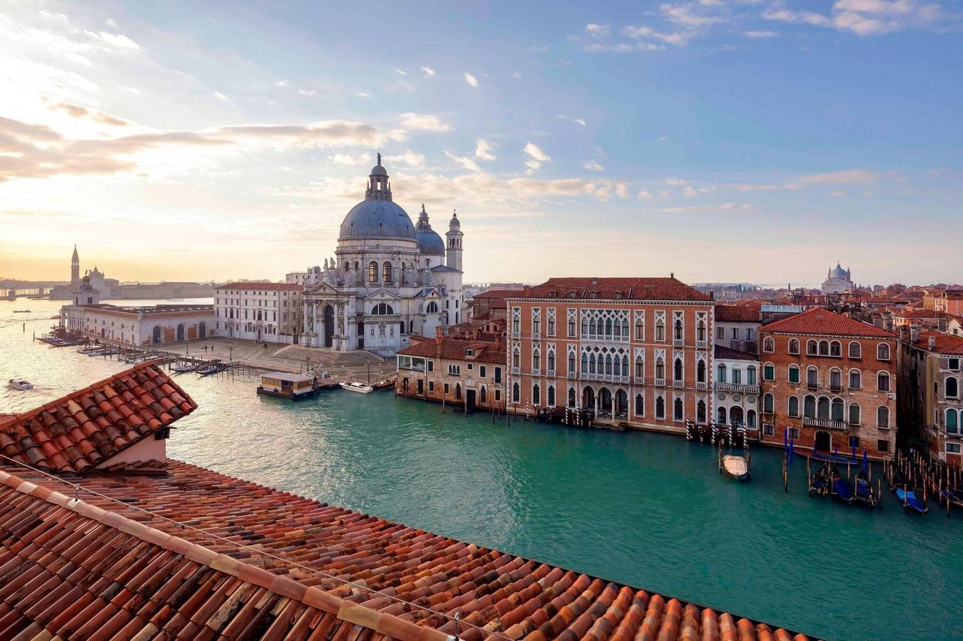 The-Gritti-Palace--a-Luxury-Collection-Hotel-Room-101