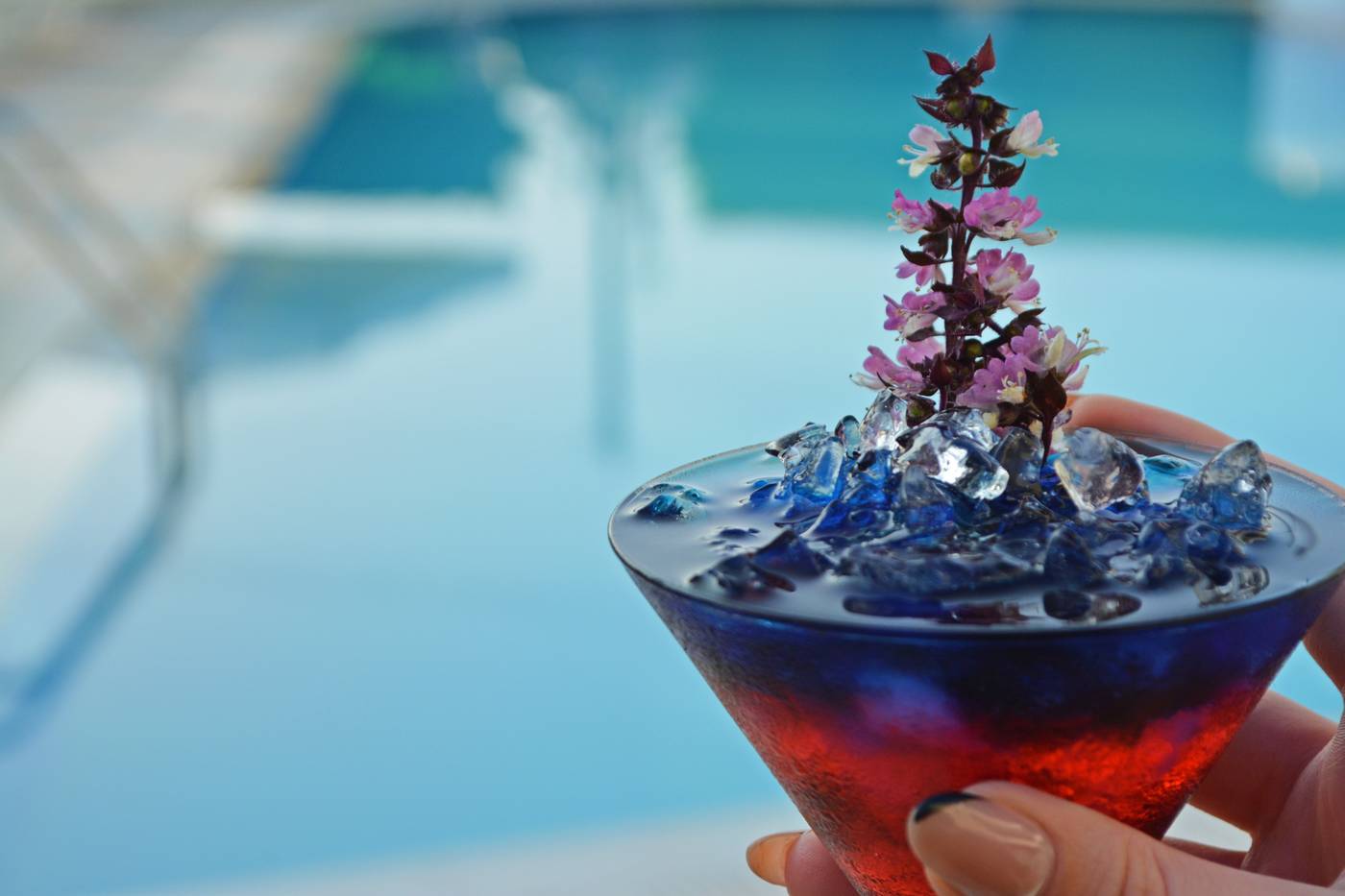Angela-Suites-Boutique-Bar-19
