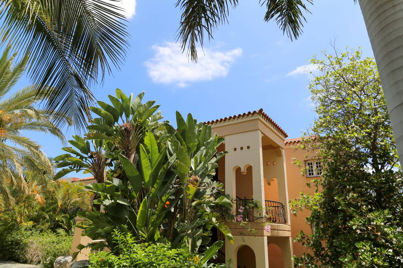 Palm-Oasis-Maspalomas-General-view-25