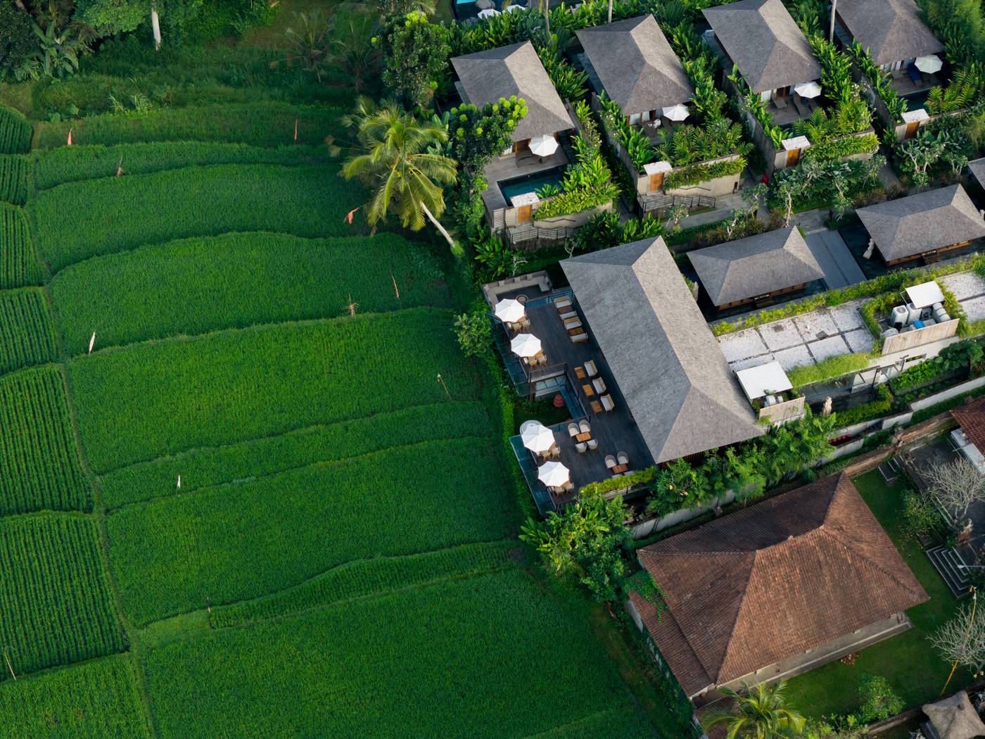 Kappa Senses Ubud-Indonesia-Bali-General view-6
