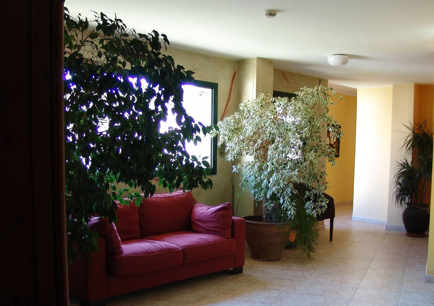 Hotel Pinxo-Spain-SANTA COLOMA DE FARNERS-Lobby-2