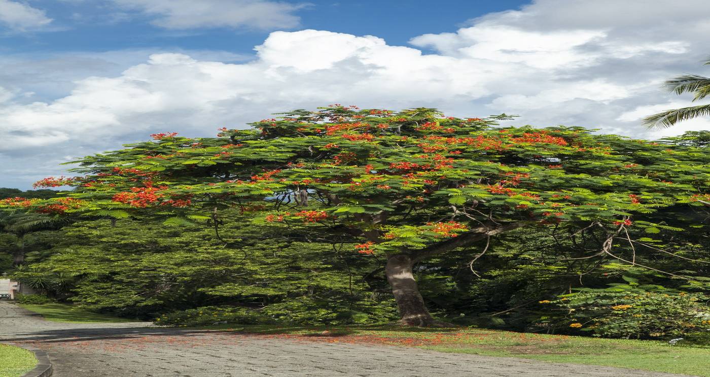 The-Villas-At-Stonehaven-Room-27