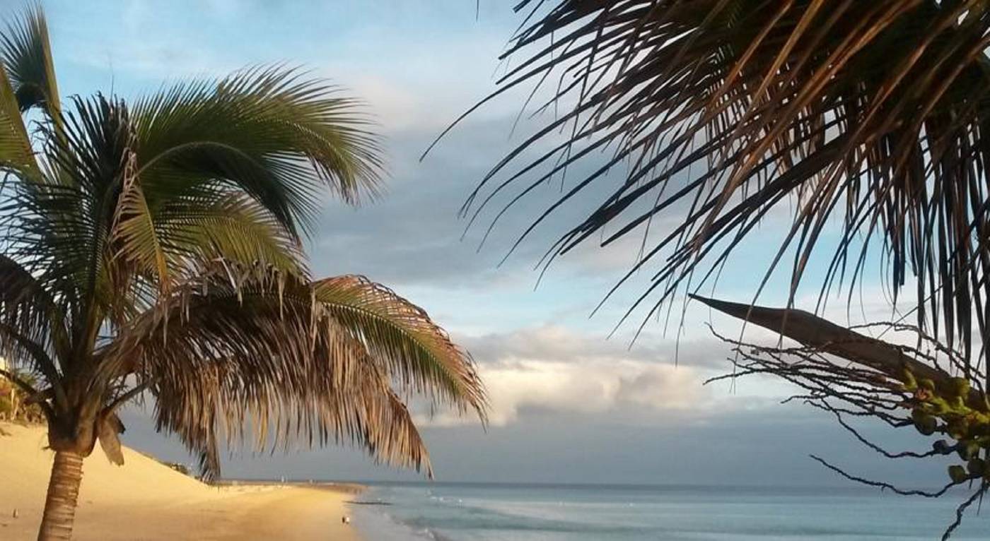 Apartamentos-LIVVO-Palm-Garden-Beach-22