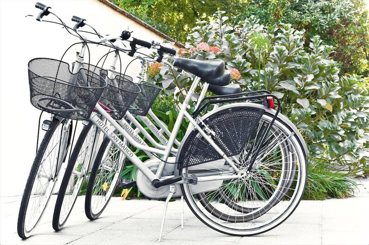 Hotel-San-Marco-Sports-and-Entertainment-18