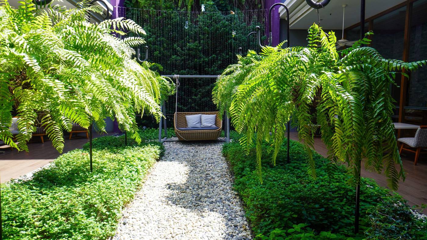 Holiday-Inn-Express-Phuket-Patong-Beach-Central-General-view-21