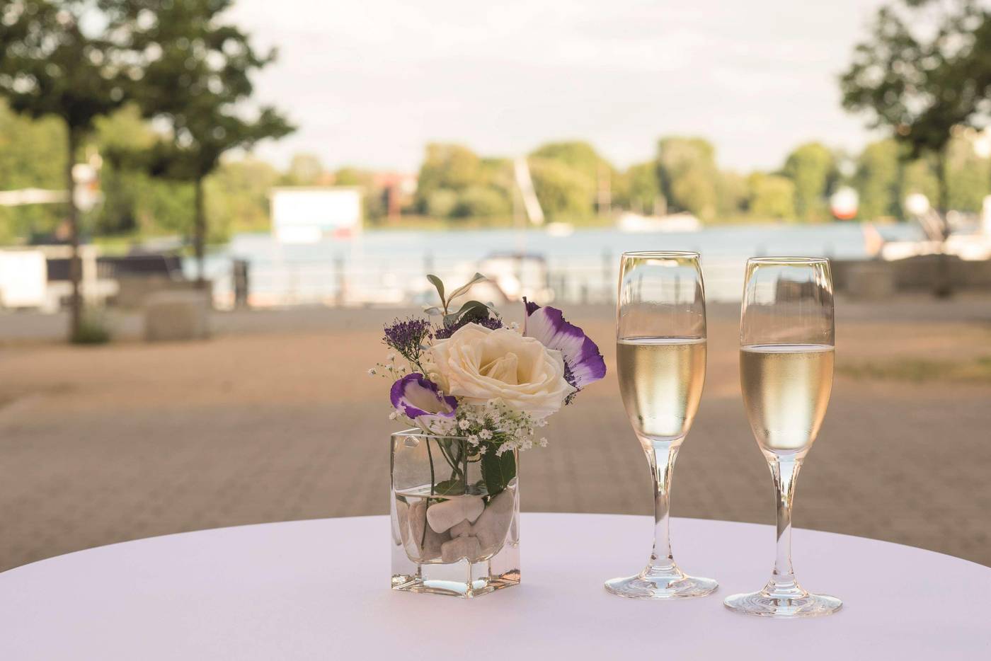 Centrovital-Conferences-53