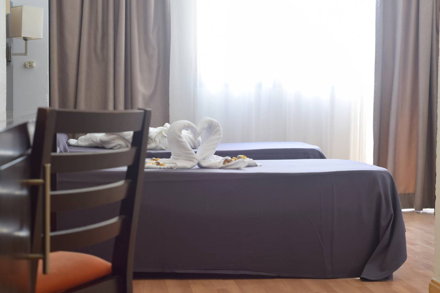 Adonis-Pelinor-Room-25