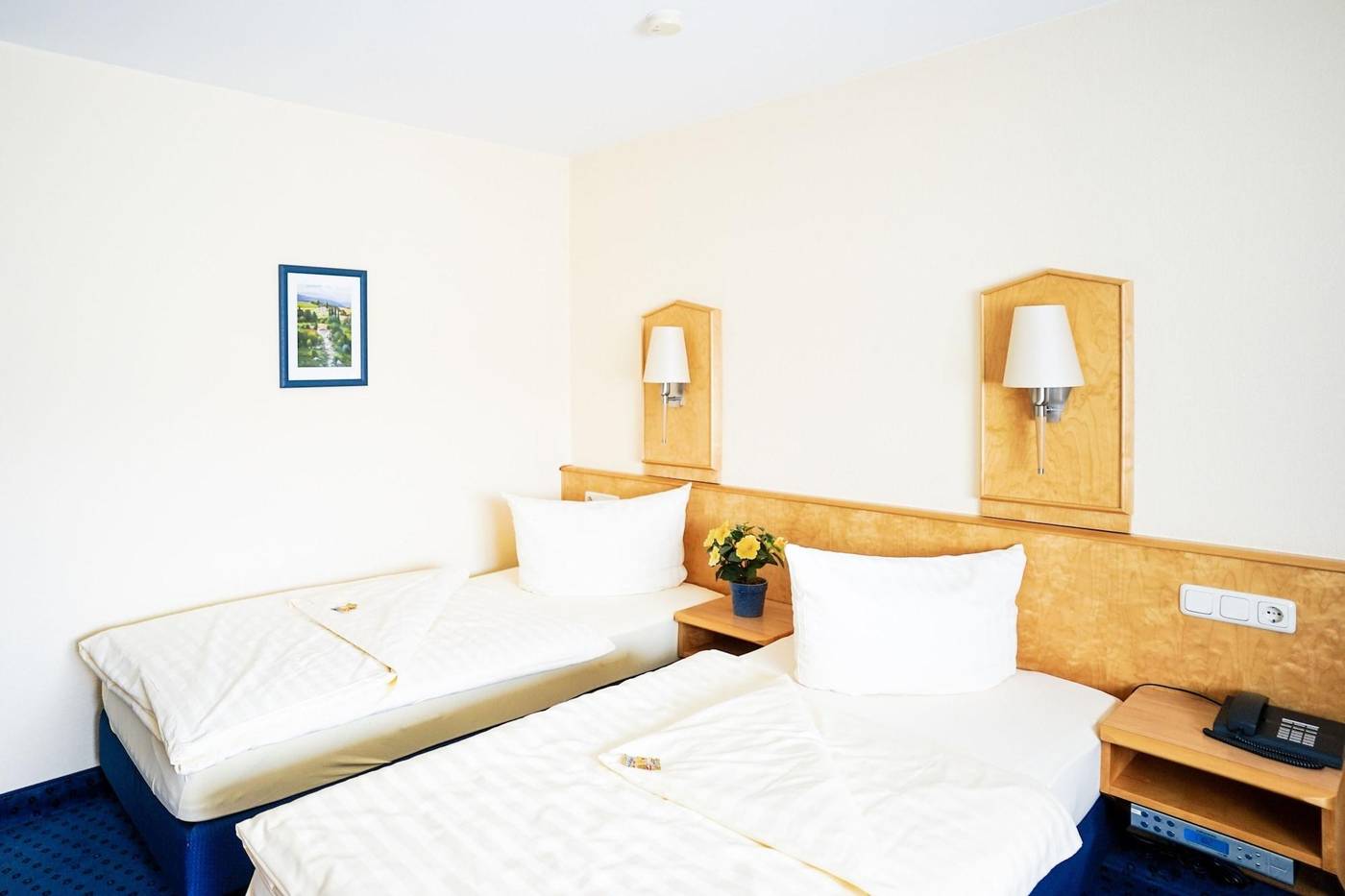 Hotel Sauer Garni - Germany - NEU-ISENBURG - Room - 8