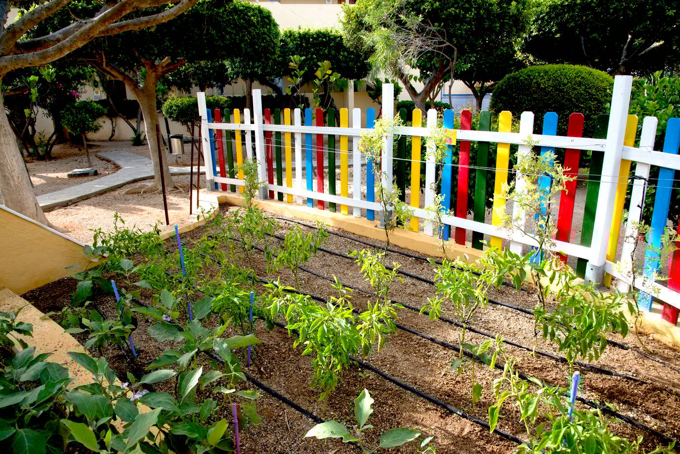 Spa-Playasol-Sports-and-Entertainment-39