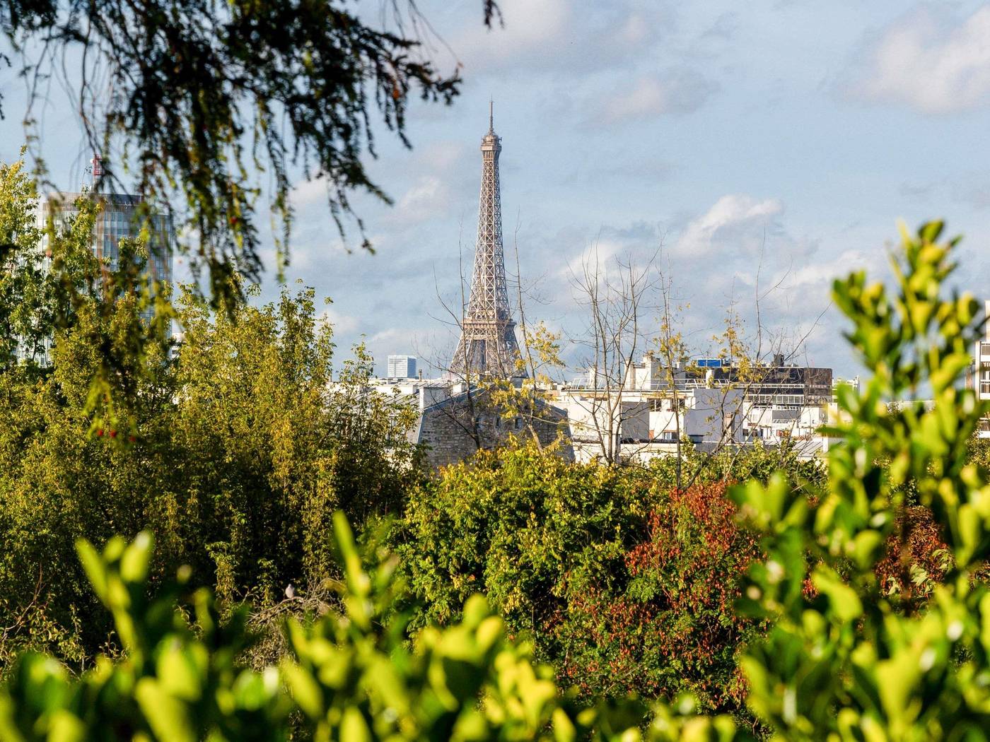 Domaine-Reine-Margot-Paris-Issy-MGallery-Collection-Room-95