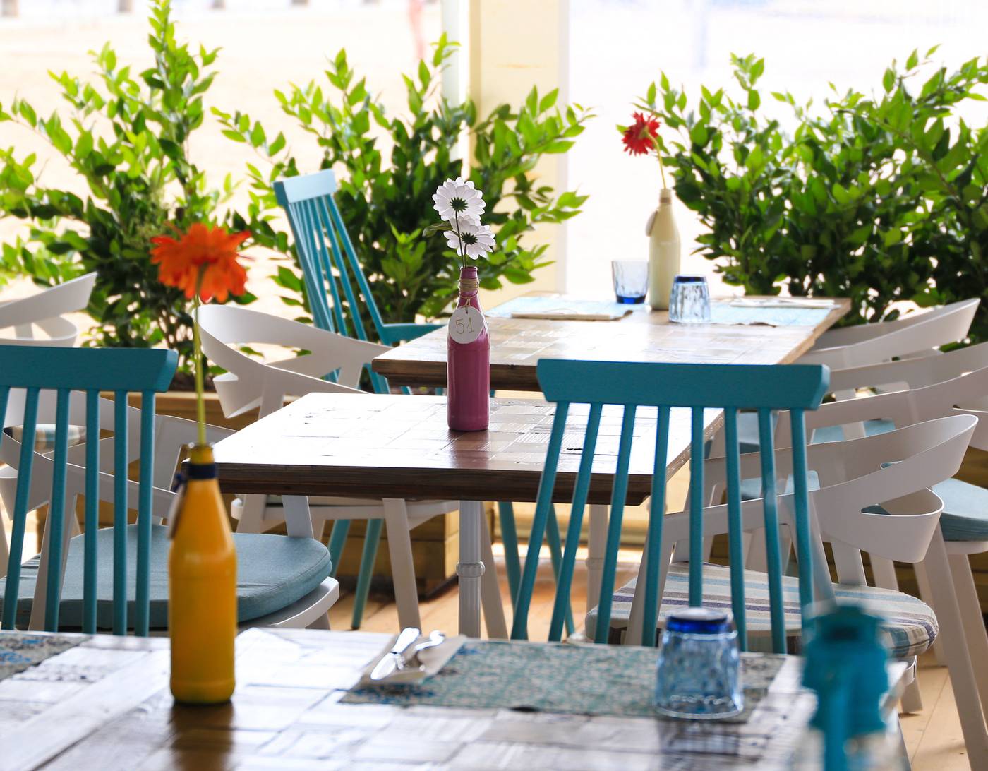 Volga-Sports-and-Entertainment-9