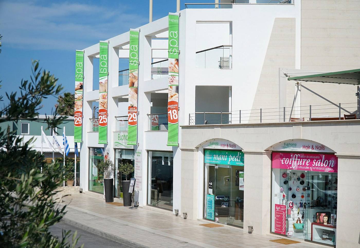 Albatros-General-view-25