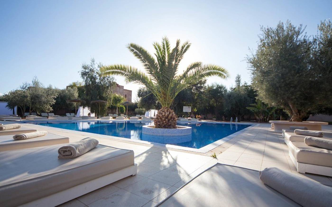 Riad-La-Maison-des-Oliviers-Pool-4